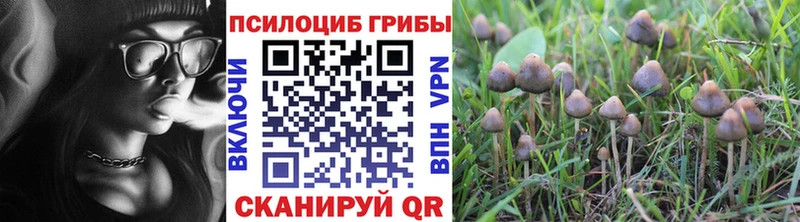 Галлюциногенные грибы прущие грибы  Истра 