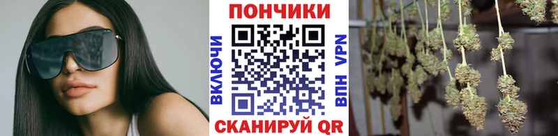Бошки Шишки SATIVA & INDICA  где купить наркотик  Истра 